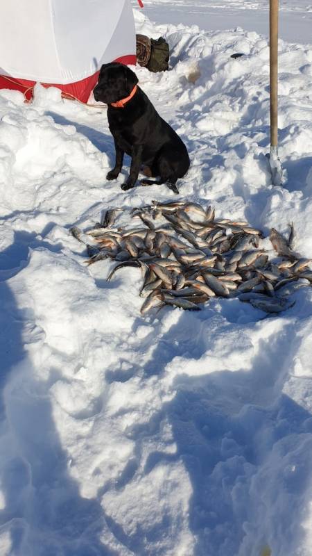 Фотоотчет с рыбалки. Место: Республика Саха (Якутия)