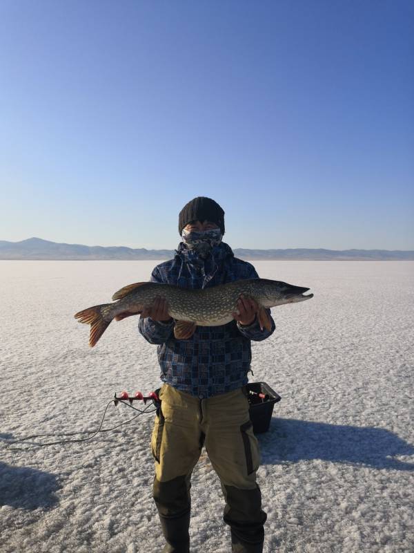 Фотоотчет по рыбе: Щука. Место рыбалки: Гусиное озеро (Респ. Бурятия)