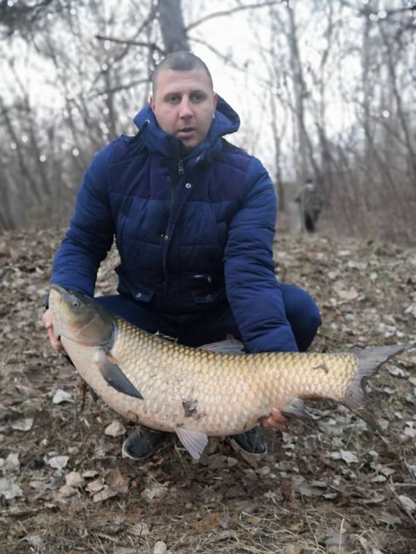 Фотоотчет по рыбе: Амур Белый. Место рыбалки: Белгородская область
