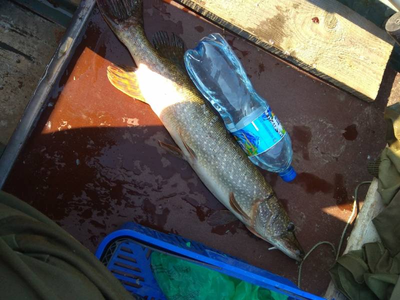 Фотоотчет с рыбалки. Место: Республика Чувашия