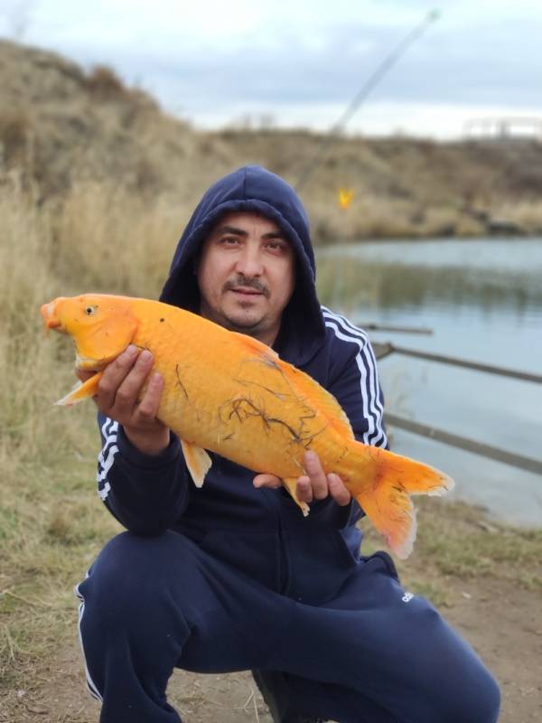 Фотоотчет по рыбе: Карп. Место рыбалки: Челябинская область