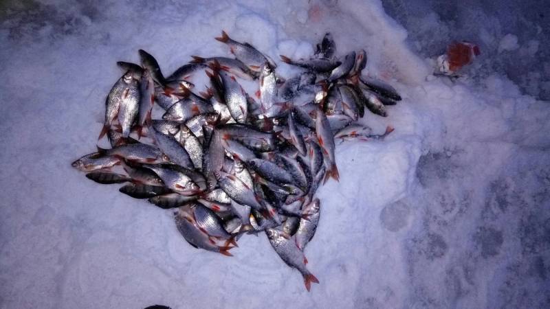 Фотоотчет с рыбалки. Место: Курская область