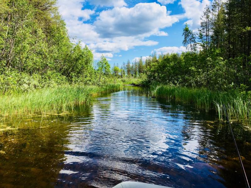 Фотоотчет с рыбалки. Место: Зеленоборский