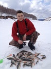 Рыболовный отчет по рыбе: Окунь