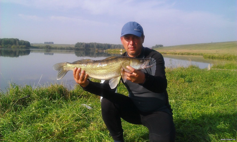 Фотоотчет по рыбе: Судак. Место рыбалки: Кемеровская область