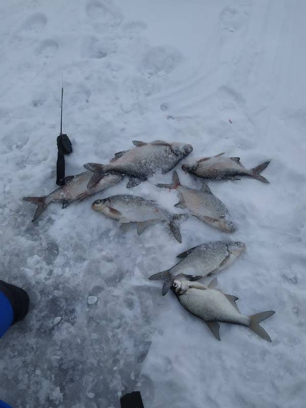 Фотоотчет с рыбалки. Место: Финский залив