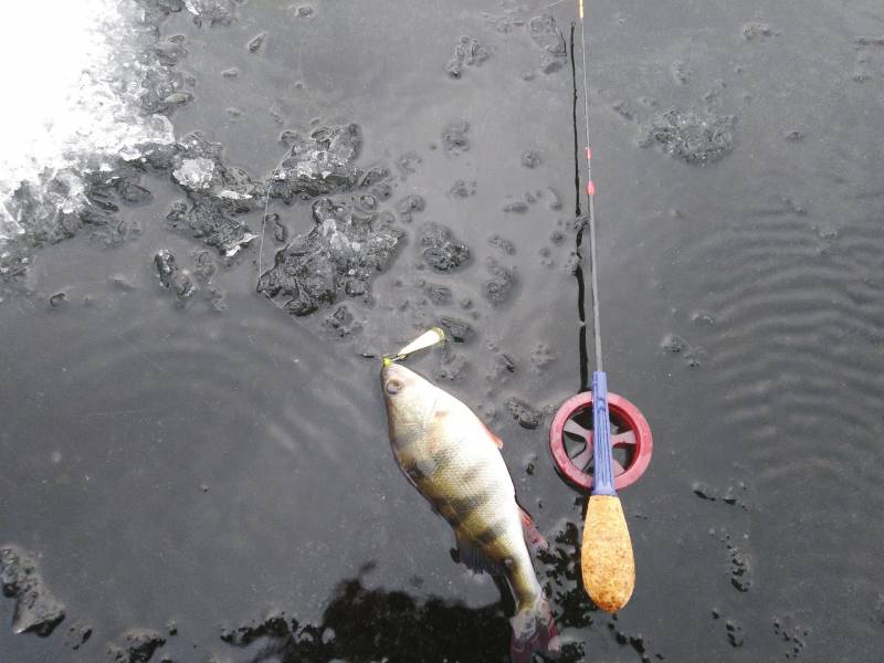 Фотоотчет с рыбалки. Место: Белгородская область