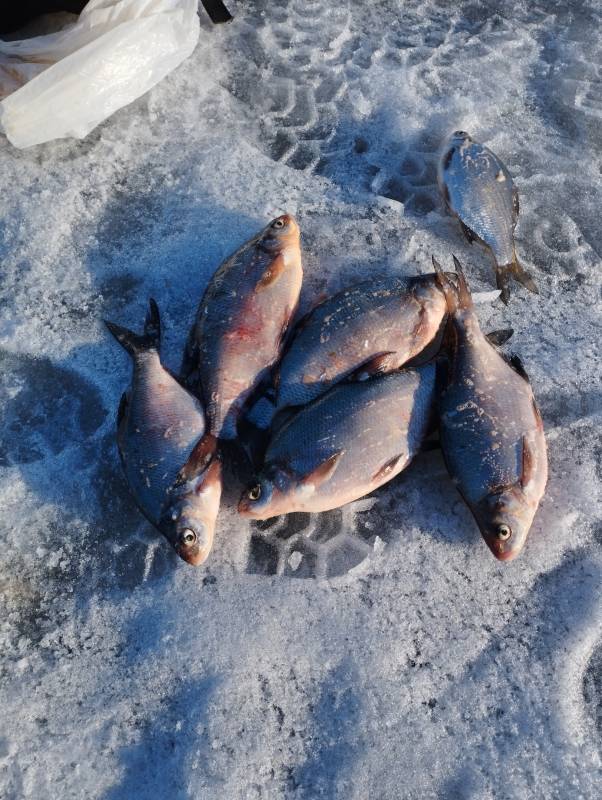 Фотоотчет с рыбалки. Место: Финский залив
