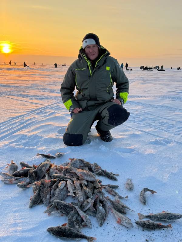 Фотоотчет по рыбе: Окунь. Место рыбалки: Ленинградская область
