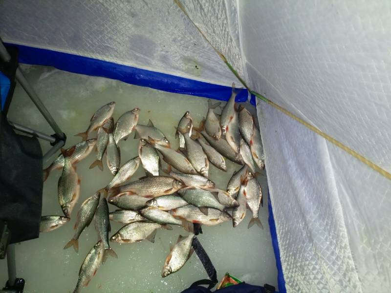 Фотоотчет с рыбалки. Место: Суходольское озеро