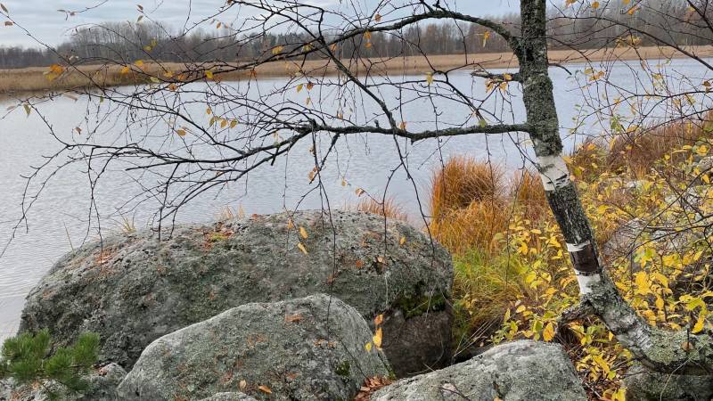 Фотоотчет с рыбалки. Место: Ладожское озеро