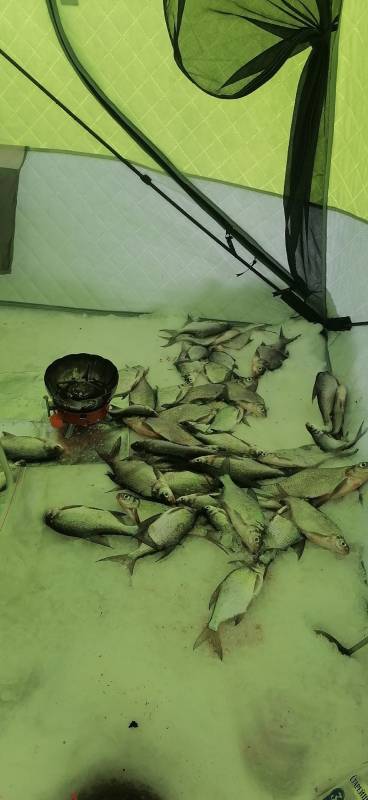 Фотоотчет с рыбалки. Место: Исетское водохранилище