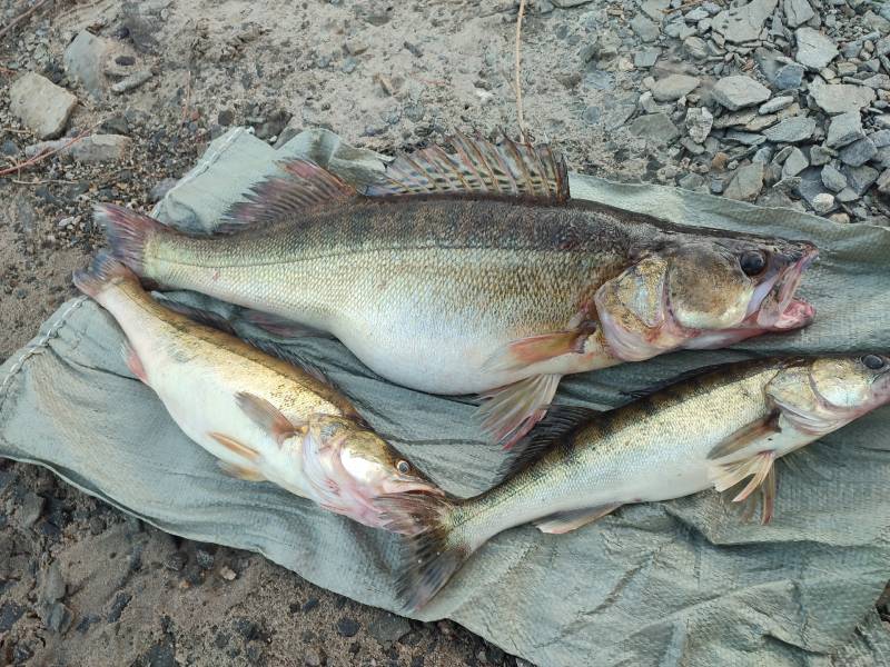 Фотоотчет с рыбалки. Место: Аргазинское водохранилище