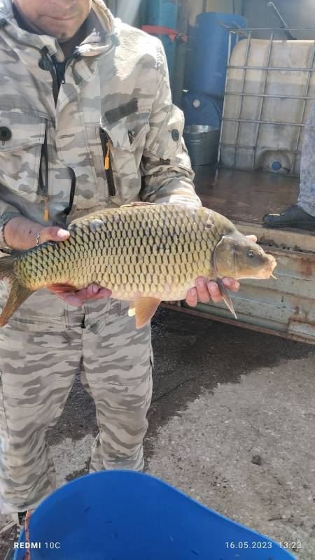Фотоотчет с рыбалки. Место: Одинцовский городской округ