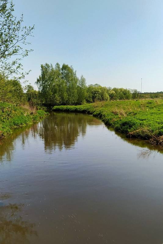 Фотоотчет с рыбалки. Место: Мытищи