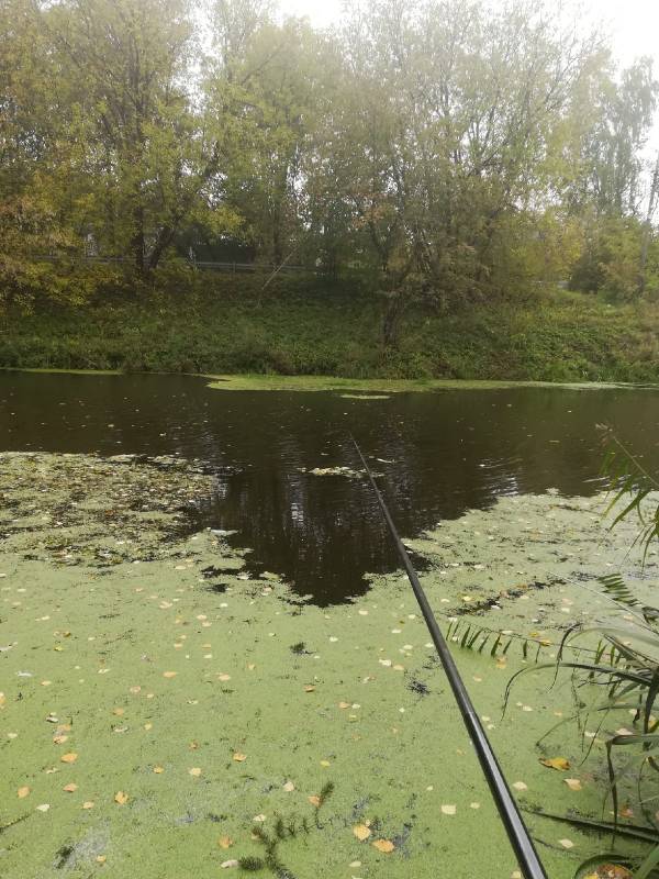 Фотоотчет с рыбалки. Место: городской округ Клин