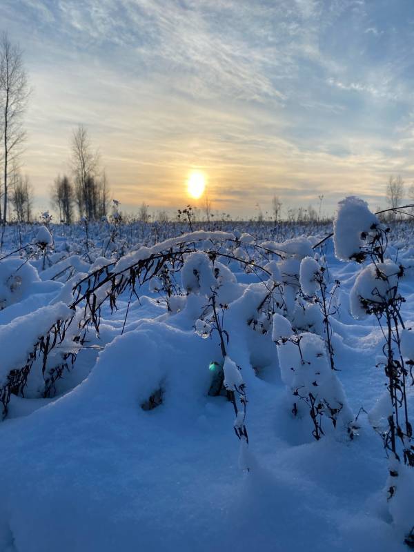 Фотоотчет с рыбалки. Место: Тульская область