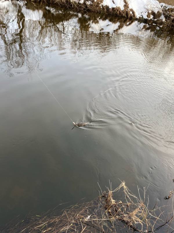 Фотоотчет с рыбалки. Место: Десногорское водохранилище