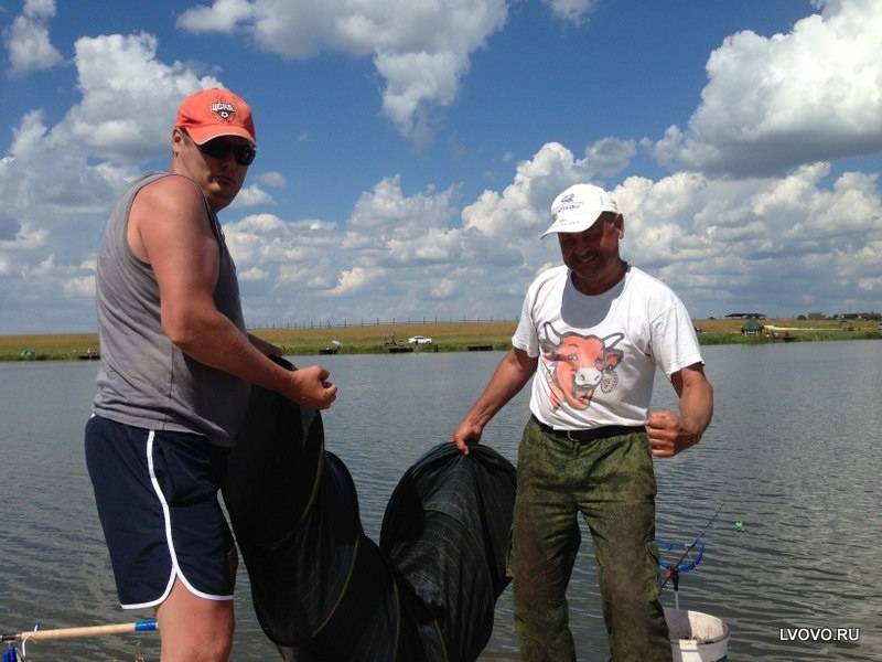 Фотоотчет с рыбалки. Место: Волоколамский городской округ