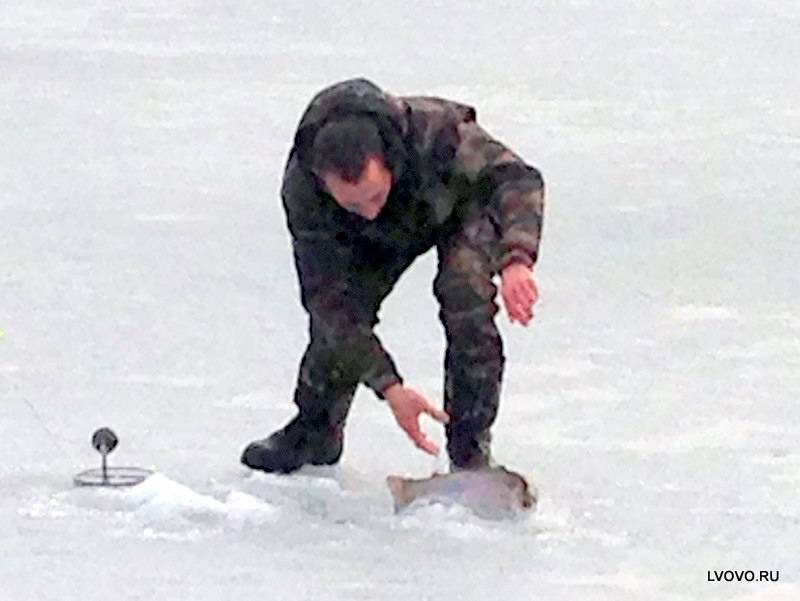 Фотоотчет с рыбалки. Место: Волоколамский городской округ