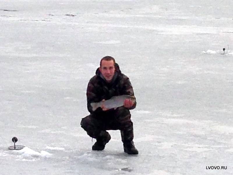 Фотоотчет с рыбалки. Место: Волоколамский городской округ