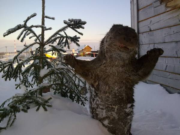 Фотоотчет с рыбалки. Место: Волоколамский городской округ