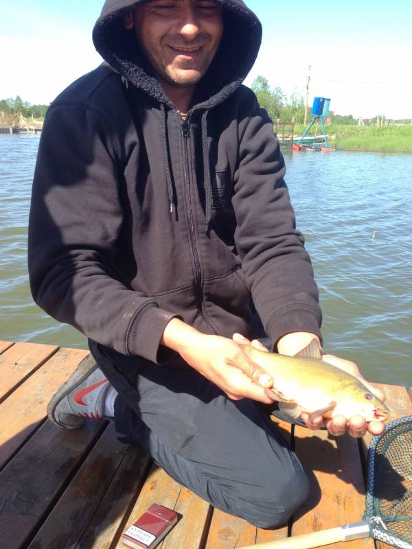 Фотоотчет по рыбе: Линь. Место рыбалки: Московская область