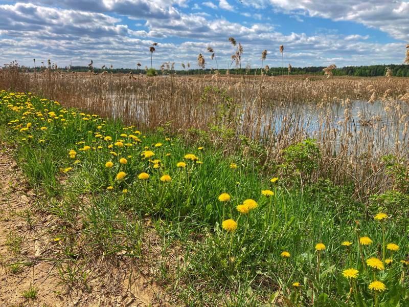 Фотоотчет с рыбалки. Место: Одинцовский городской округ