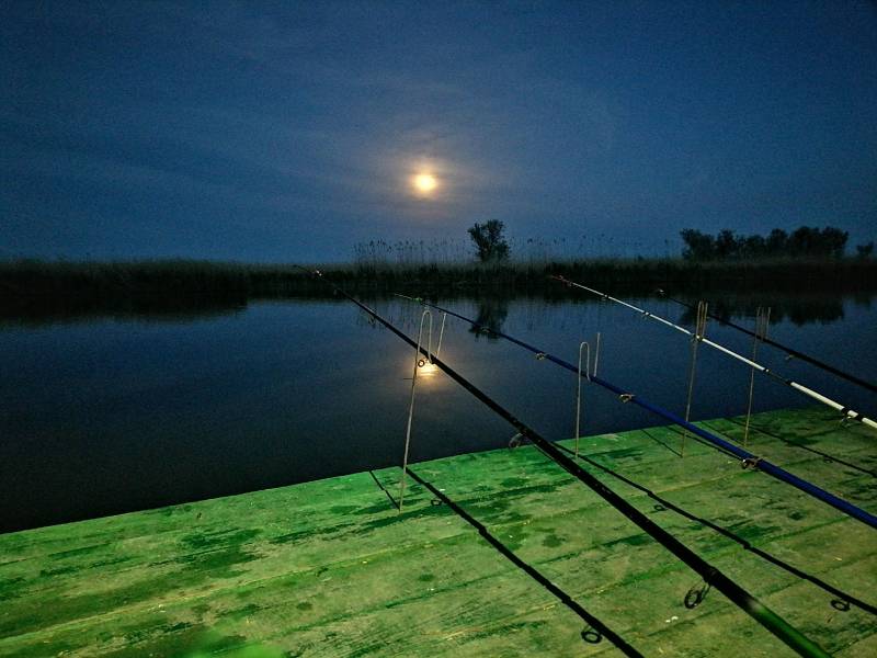 Фотоотчет с рыбалки. Место: Приморско-Ахтарск (Краснодарский край)