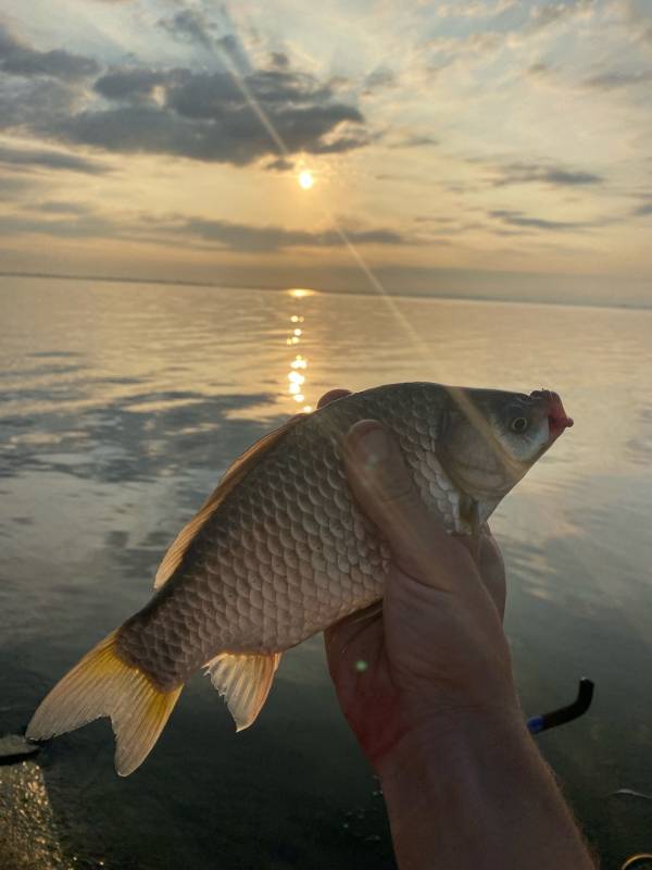 Фотоотчет с рыбалки. Место: Крымский район