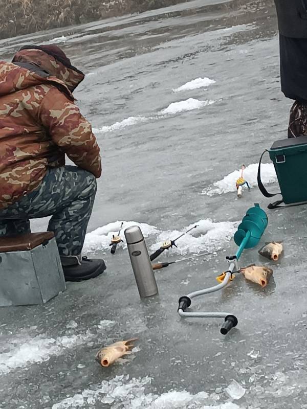 Фотоотчет с рыбалки. Место: Белгородская область