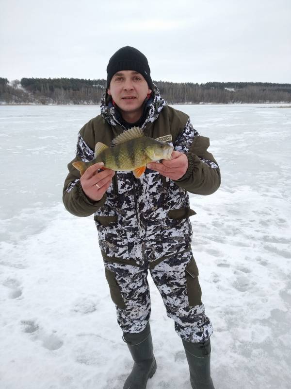 Фотоотчет по рыбе: Окунь. Место рыбалки: Белгородская область
