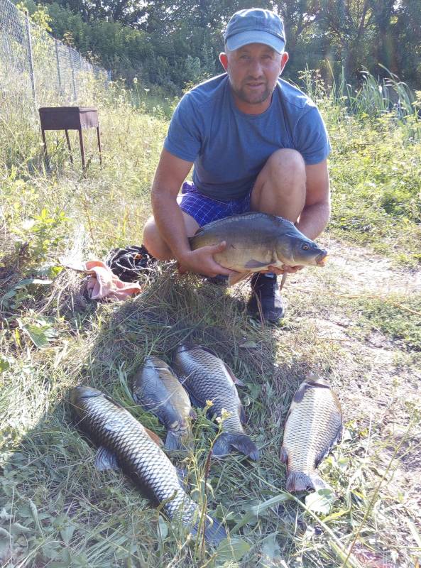Фотоотчет по рыбе: Амур Белый, Карп. Место рыбалки: Белгородская область