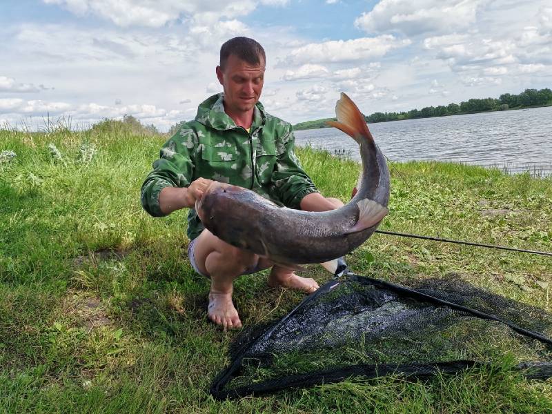 Фотоотчет по рыбе: Толстолоб. Место рыбалки: Белгородская область