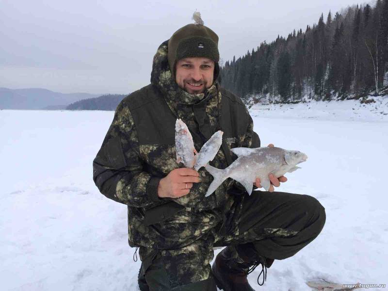 Фотоотчет по рыбе: Плотва. Место рыбалки: Красноярское водохранилище