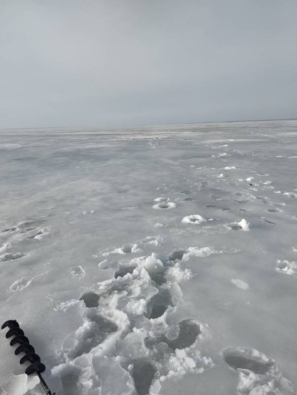 Фотоотчет с рыбалки. Место: Нижегородская область