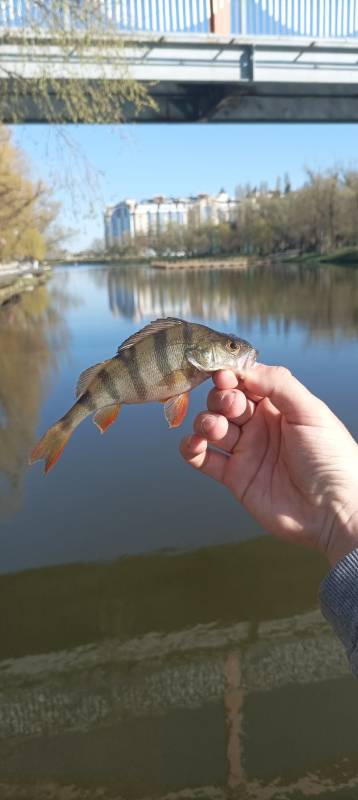 Фотоотчет с рыбалки. Место: Белгород