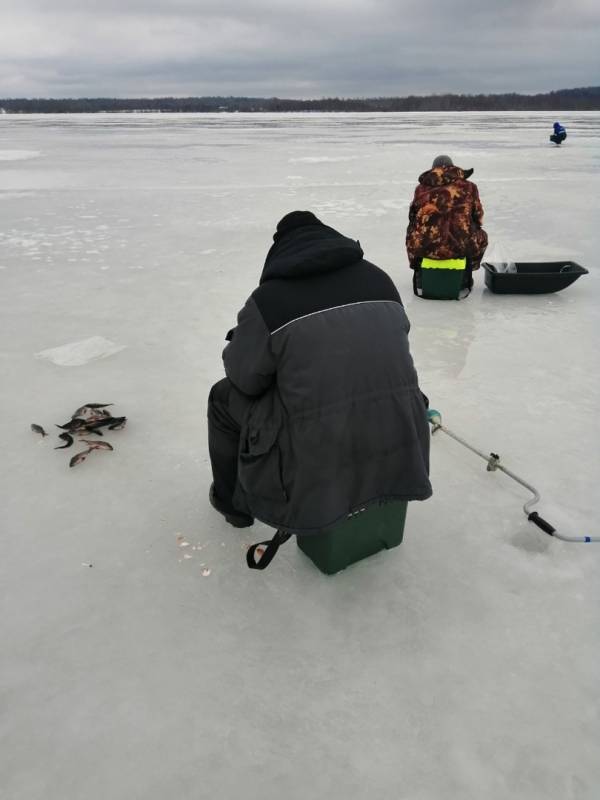 Фотоотчет с рыбалки. Место: Боровичи (Новгородская обл.)