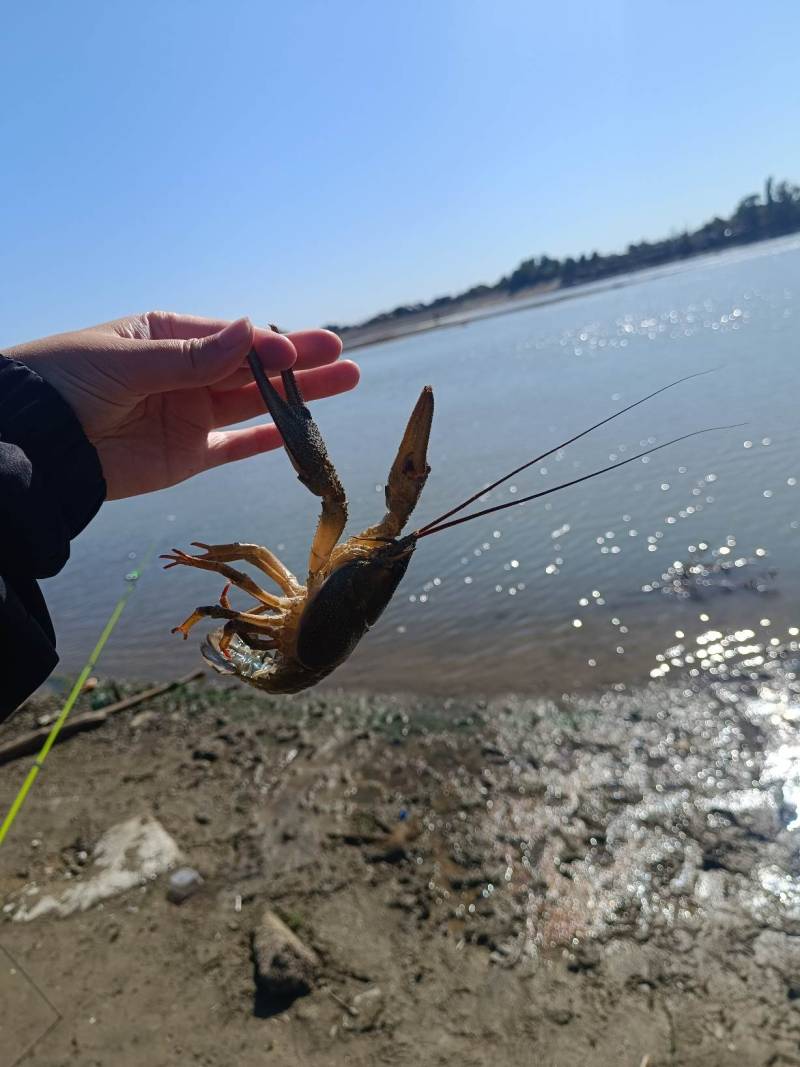 Фотоотчет рыбалки - Россия