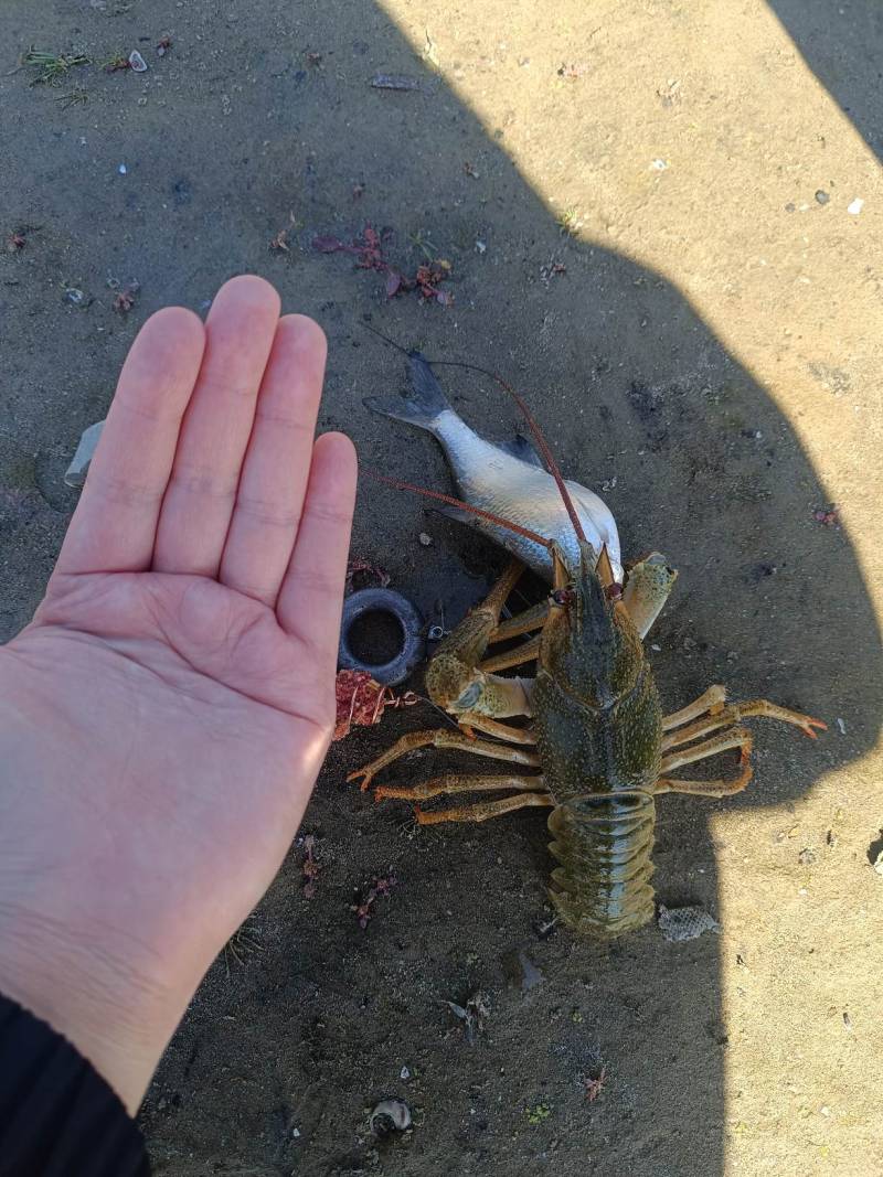 Фотоотчет рыбалки - Россия