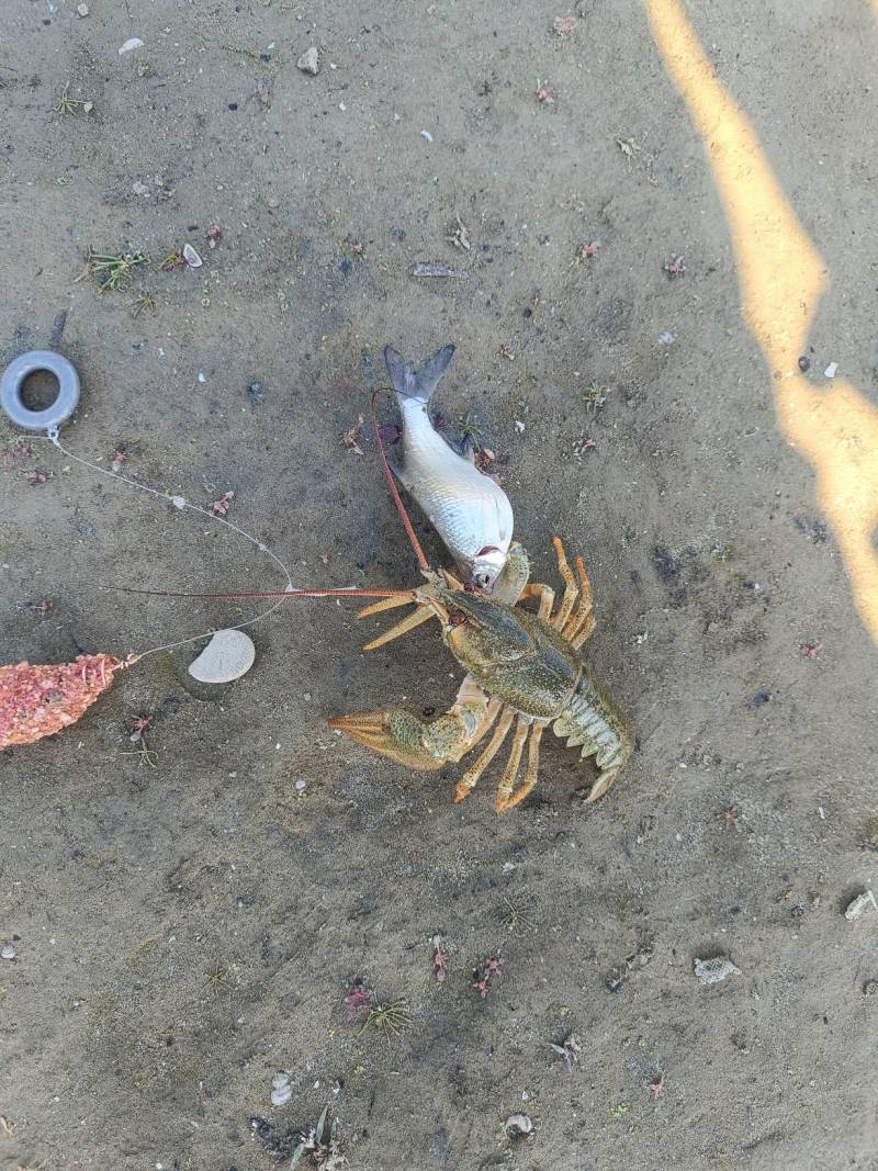 Фотоотчет рыбалки - Россия