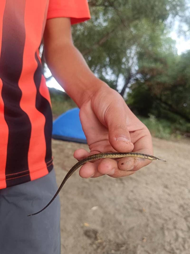 Фотоотчет рыбалки - Россия