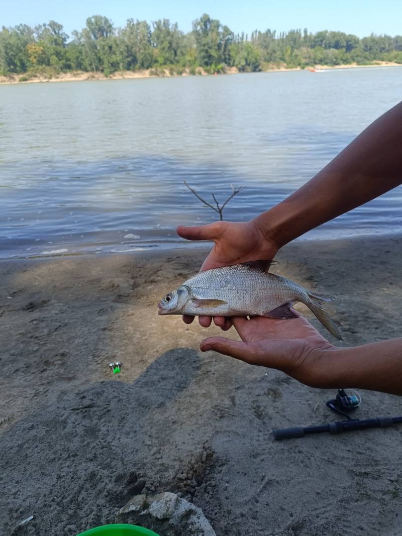 Фотоотчет рыбалки - Краснодар