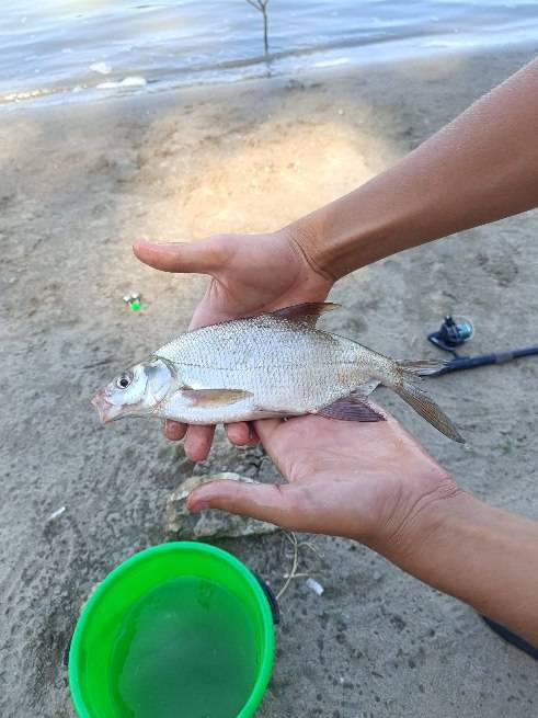 Фотоотчет рыбалки - Краснодар