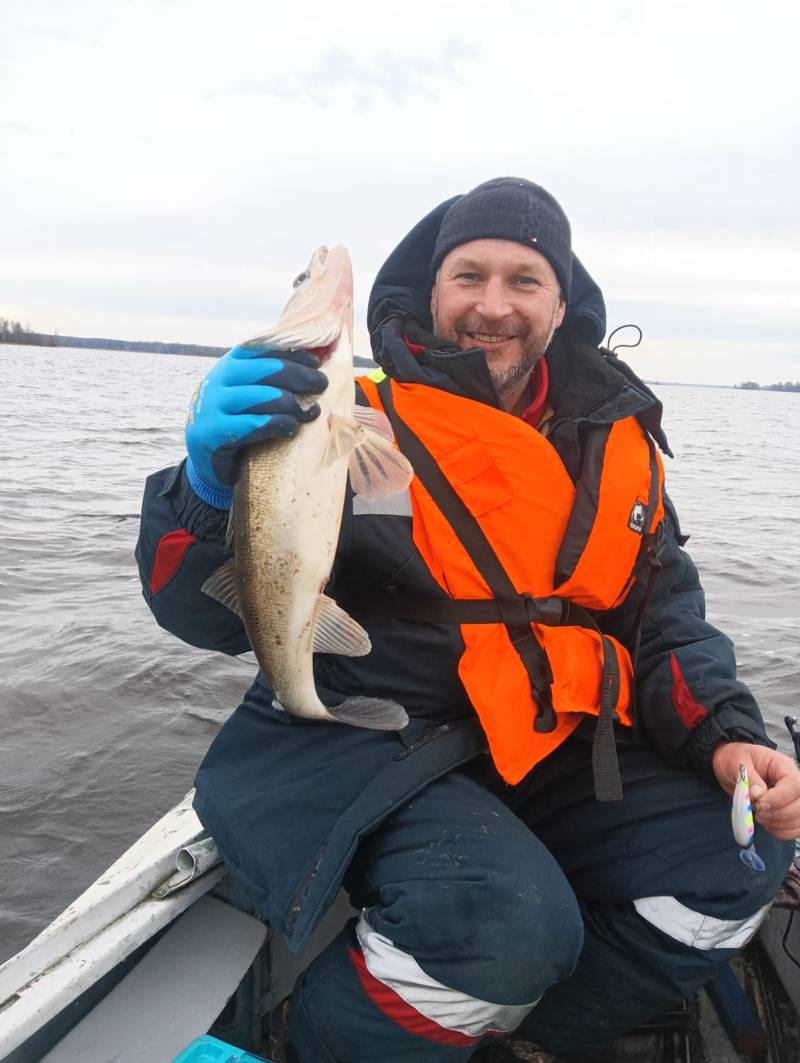 Рыболовный отчет по рыбе: Судак