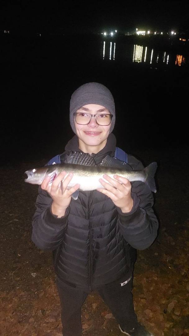 Рыболовный отчет по рыбе: Судак