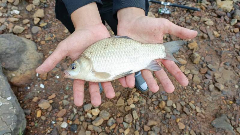 Фотоотчет рыбалки - Тюмень