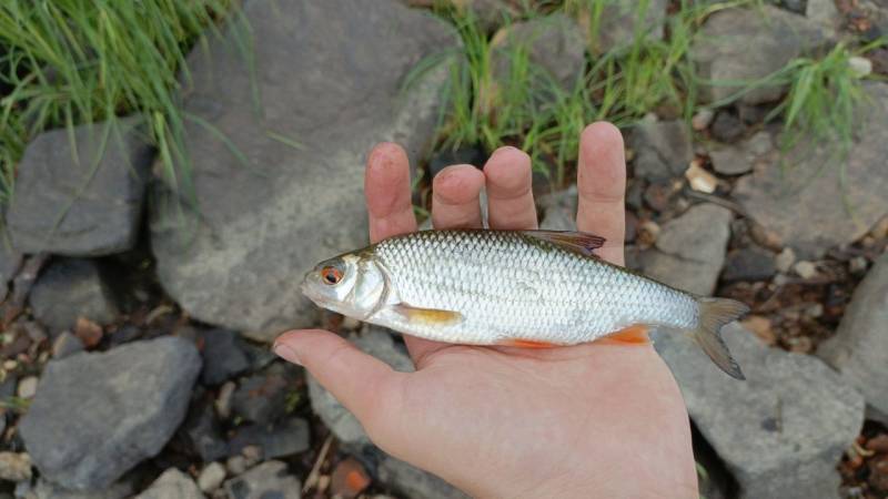 Фотоотчет рыбалки - Тюмень