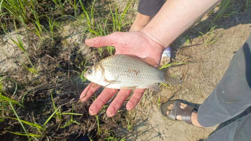 Фотоотчет рыбалки - Тюмень