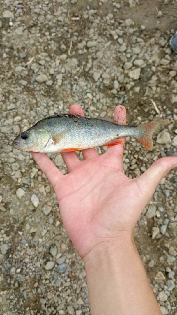 Фотоотчет рыбалки - Тюмень